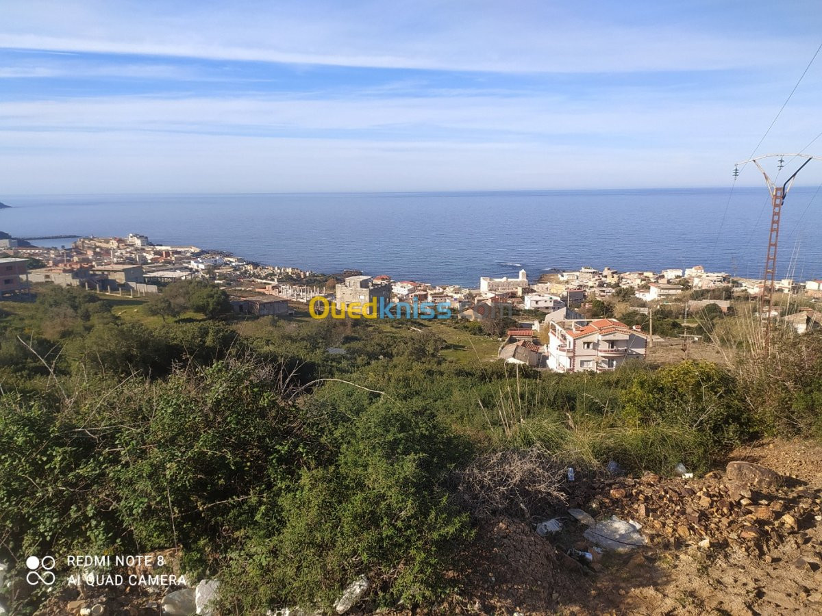 Vente Terrain El taref El kala