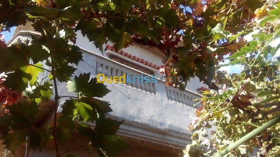 Vente Villa Ain defla Miliana