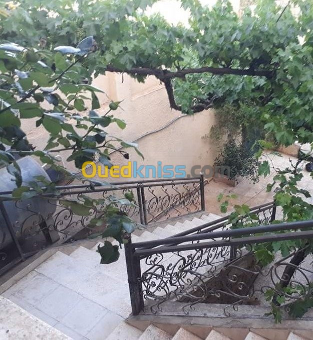 Vente Villa Ain defla Miliana