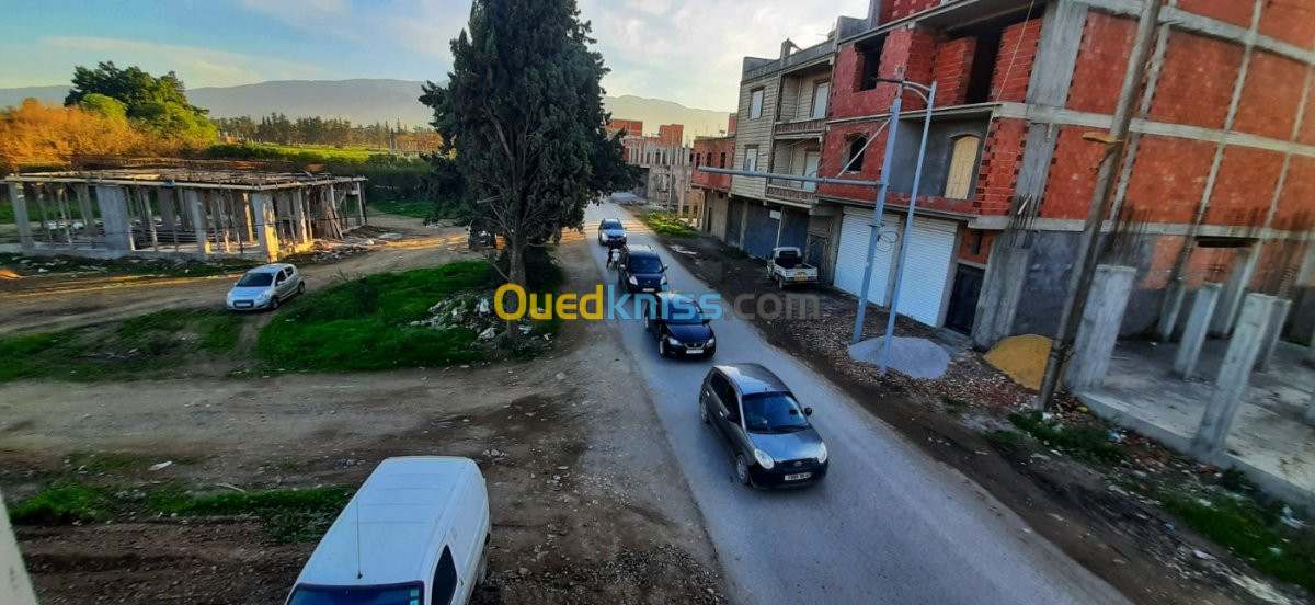 Vente Terrain Blida Boufarik