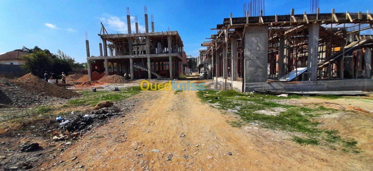 Vente Terrain Blida Boufarik