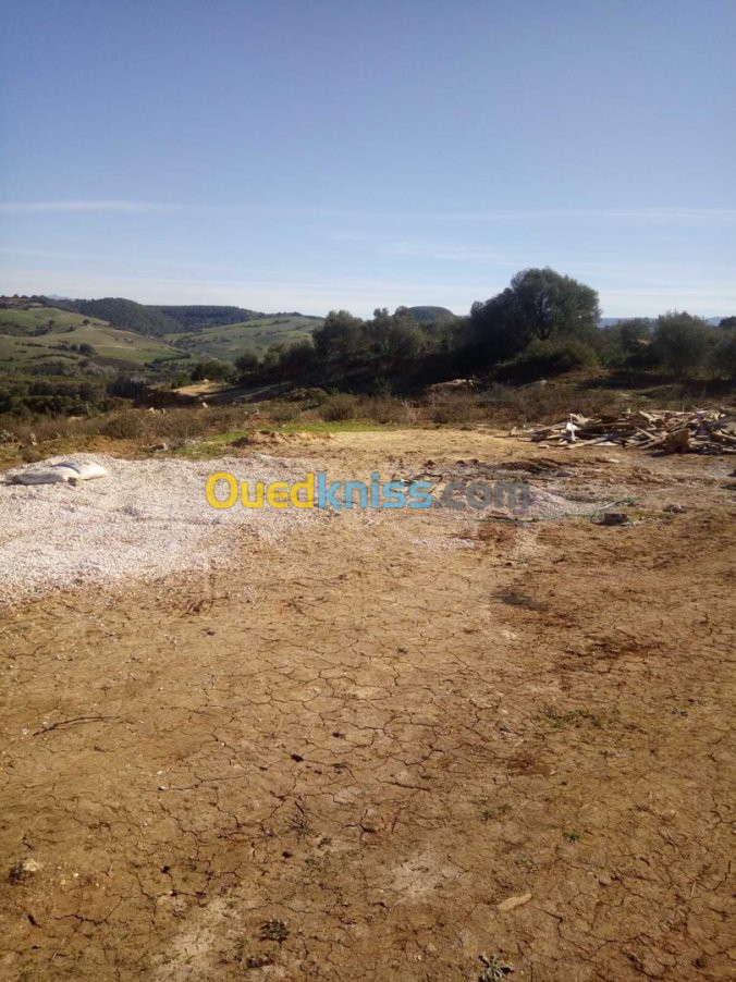 Vente Terrain Tipaza Sidi amar