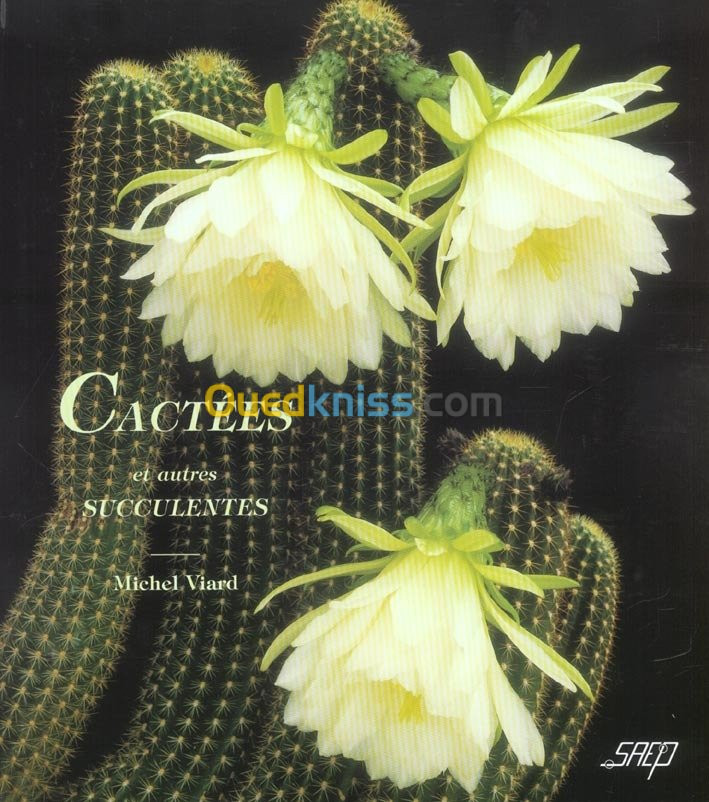 Cactées et autre succulentes