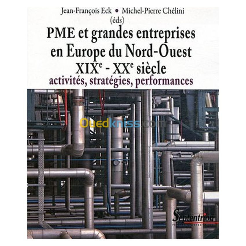 PME et grandes entreprises en Europe du Nord-Ouest XVIIIe-XXe siècle : activités, stratégies, performances