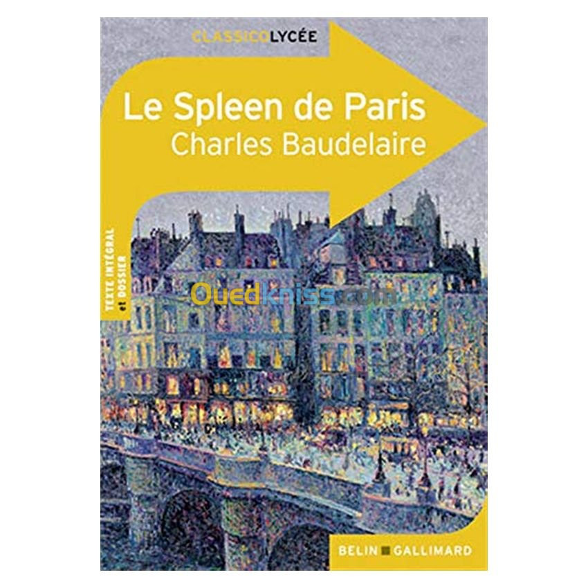 Le Spleen de Paris