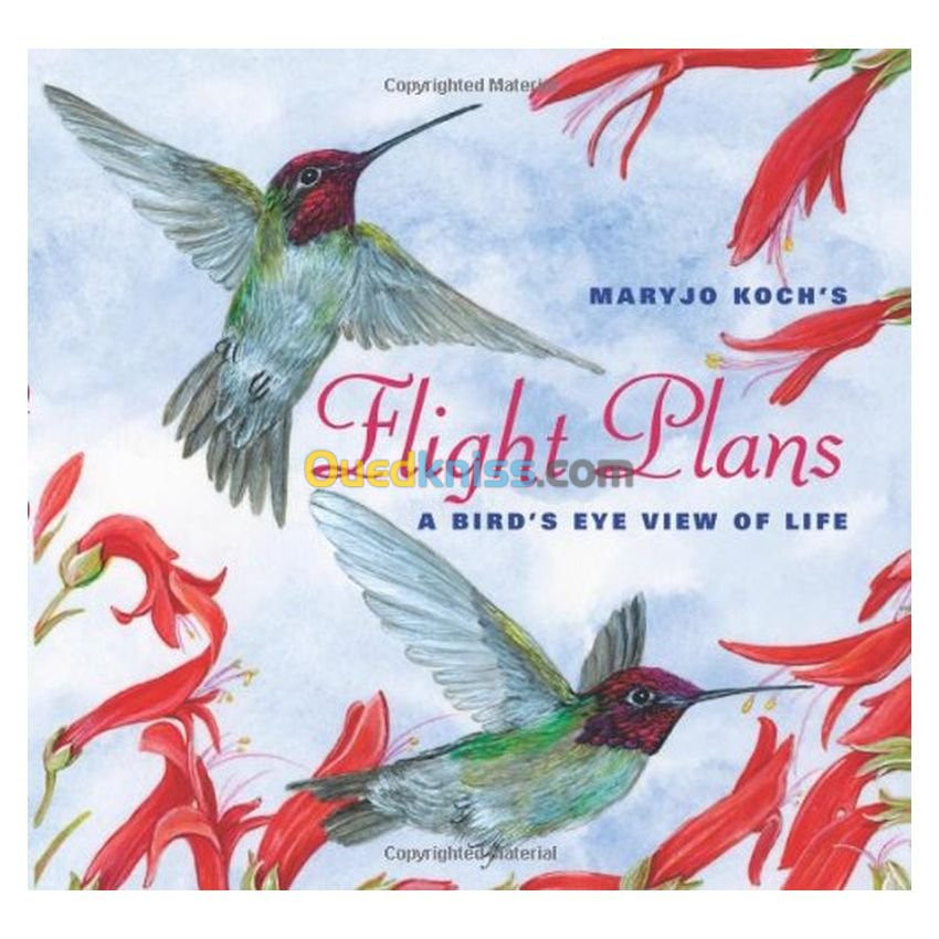 Flight Plans: A Bird's Eye View Of Life