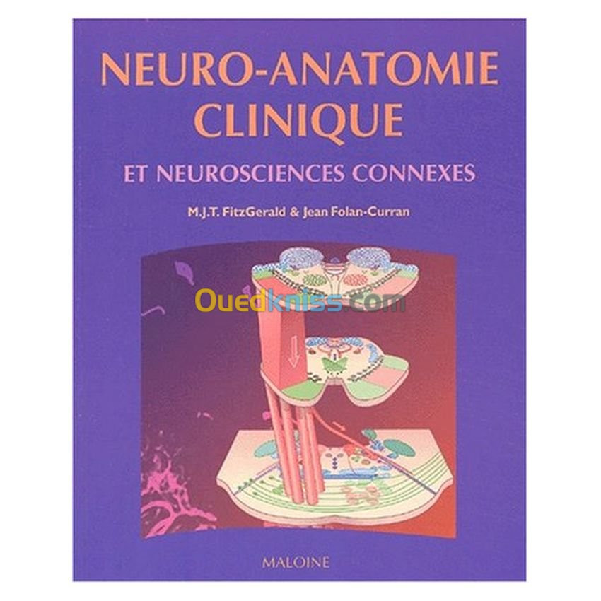 Neuro-anatomie clinique et neurosciences connexes