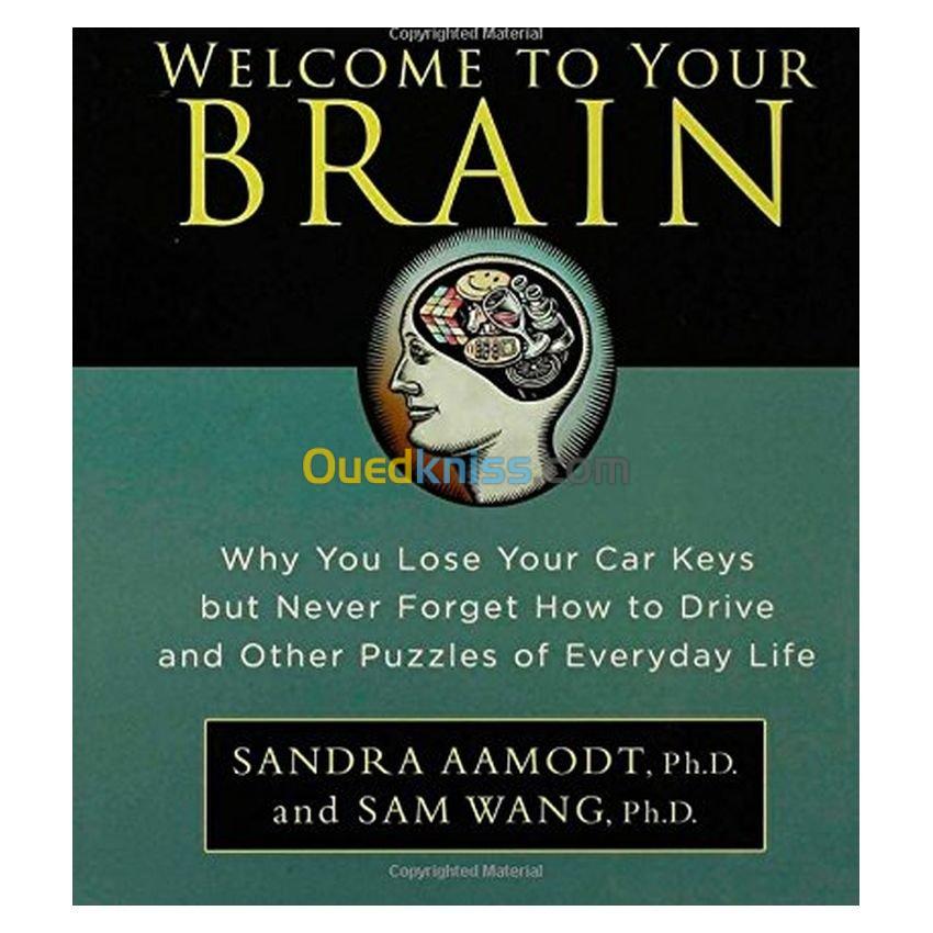 Welcome to Your Brain: Why You lose Your Car Keys but Never Forget How to Drive and Other Puzzles of Everday Life