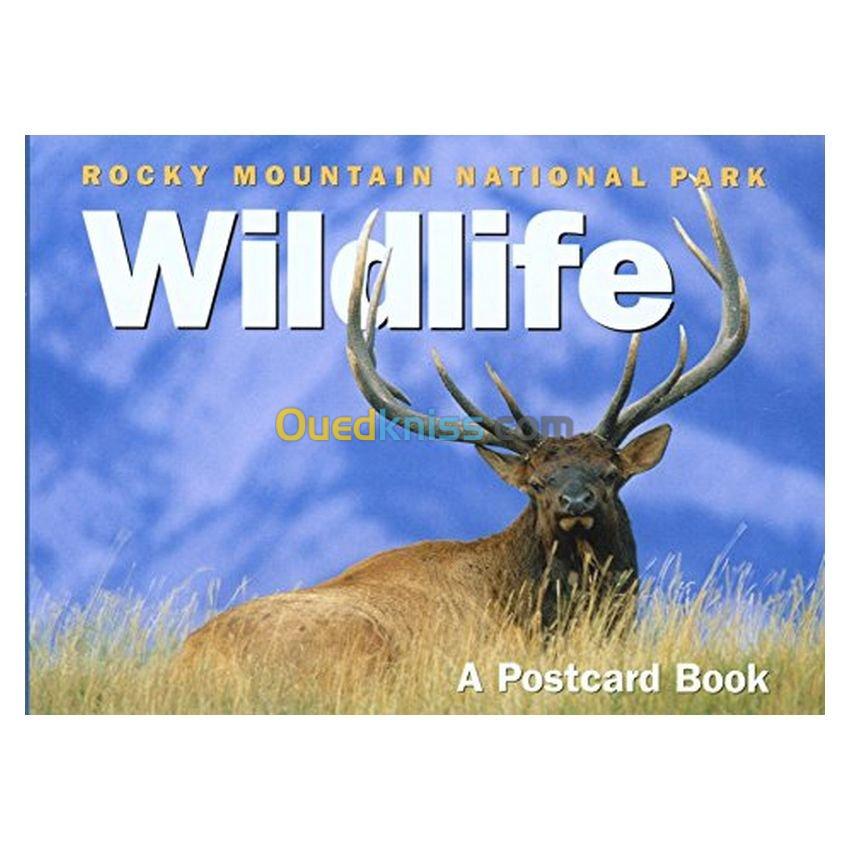 Rocky Mountain National Park Wildlife Postcard