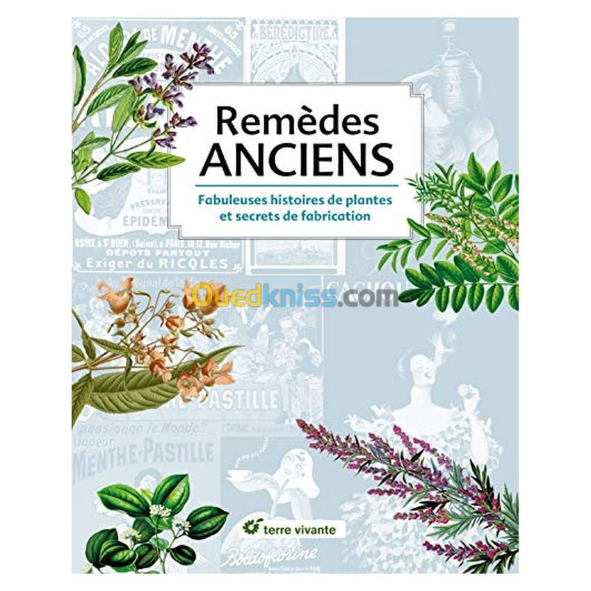 Remèdes anciens : fabuleuses histoires de plantes et secrets de fabrication