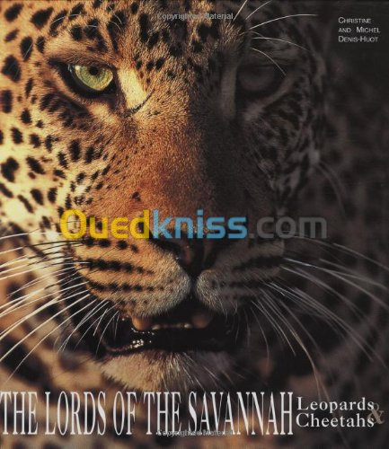 The Lords of the Savannah - Leopards & Cheetas (Art of Being.)