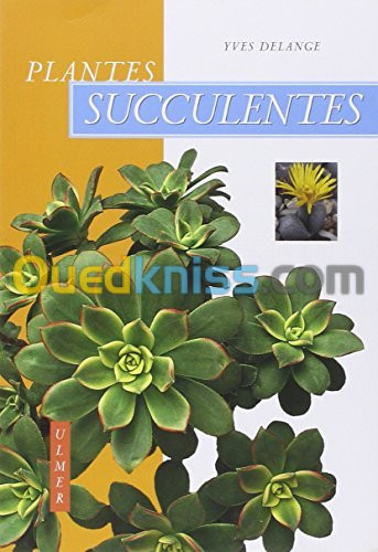 Plantes succulentes