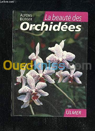 La beauté des orchidées