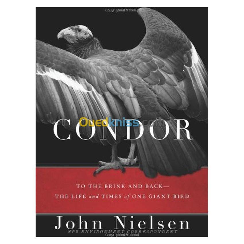 Condor: To the Brink and Back--The Life and Times of One Giant Bird