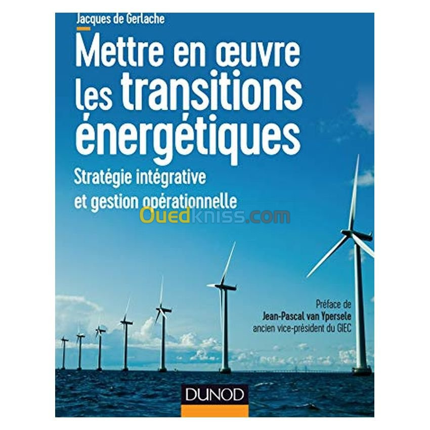 Mettre en oeuvre les transitions énergétiques. Stratégie intégrative et gestion opérationnelle