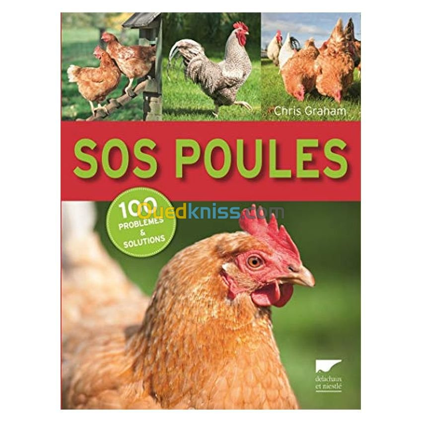 SOS poules, 100 problèmes et solutions