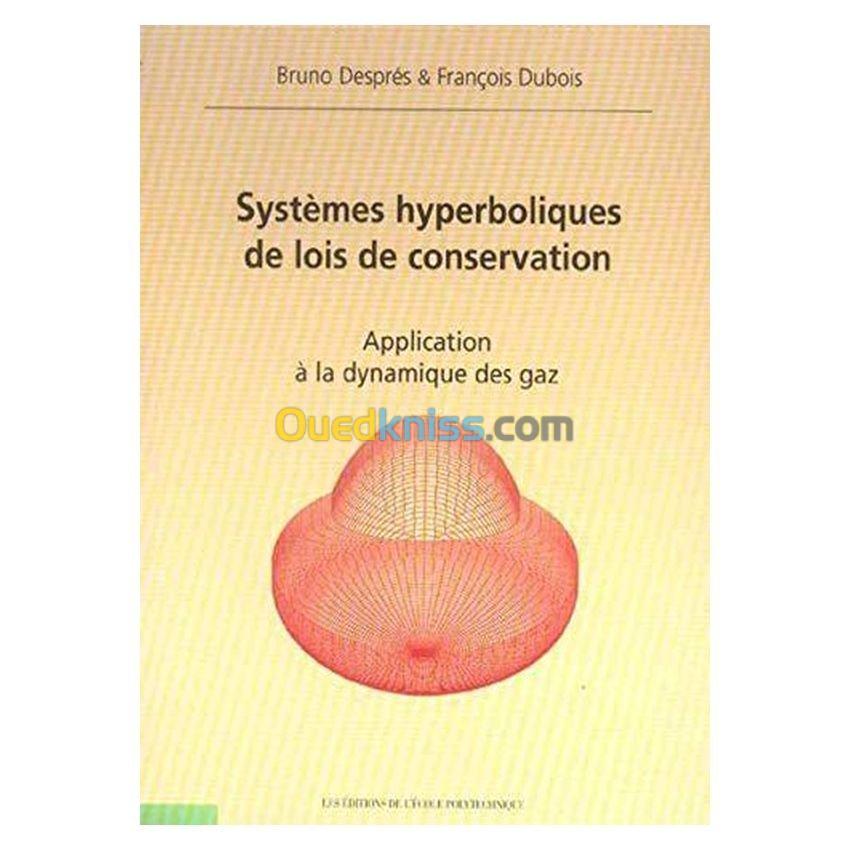 Systemes Hyperboliques De Lois De Conservation Application A La Dynamique Des Gaz