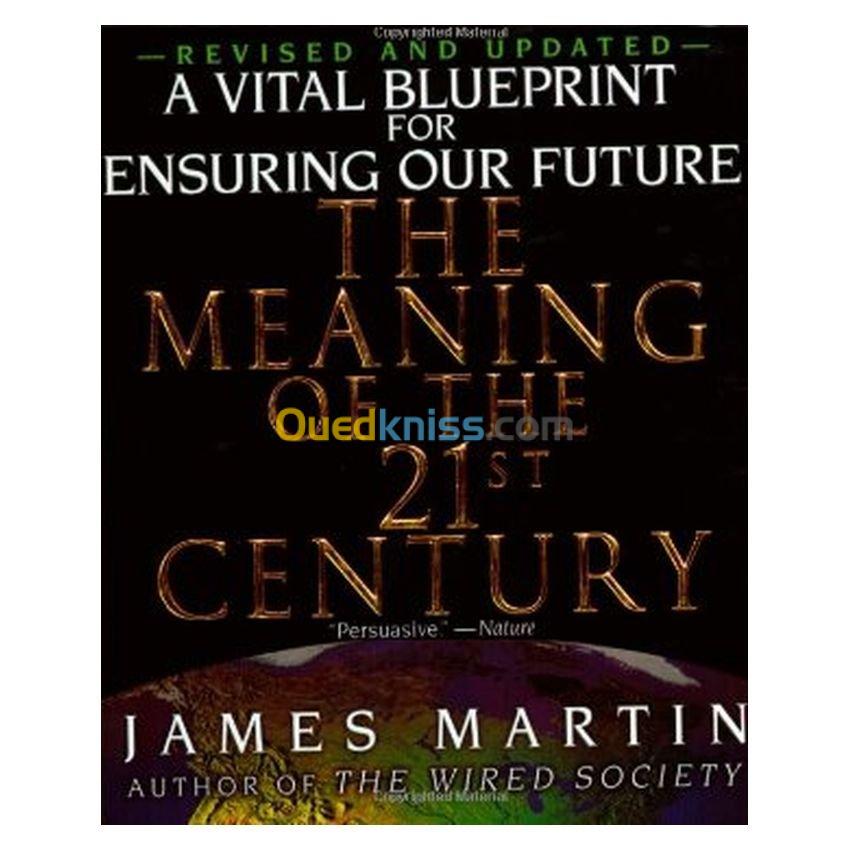 The Meaning of the 21st Century: A Vital Blueprint for Ensuring Our Future