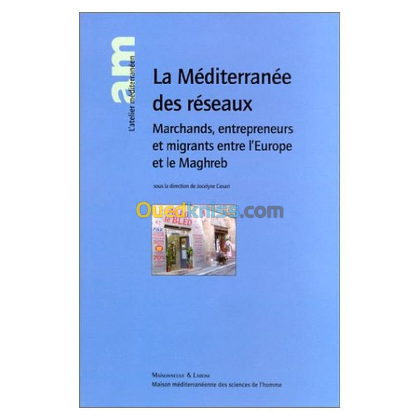 La Méditerranée des réseaux. : Marchands, entrepreneurs et migrants entre l'Europe et le Maghreb