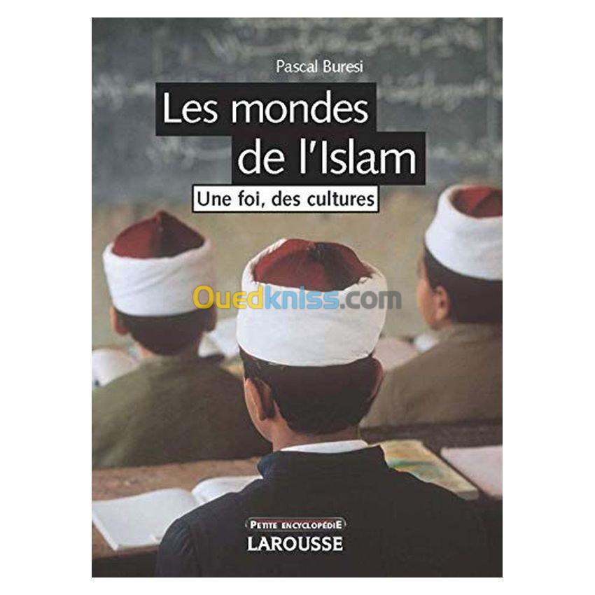 Les mondes de l'Islam. Une foi, des cultures 2e édition