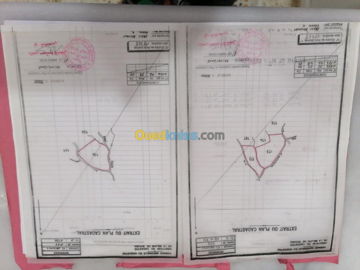 Vente Terrain Bouira El hachimia