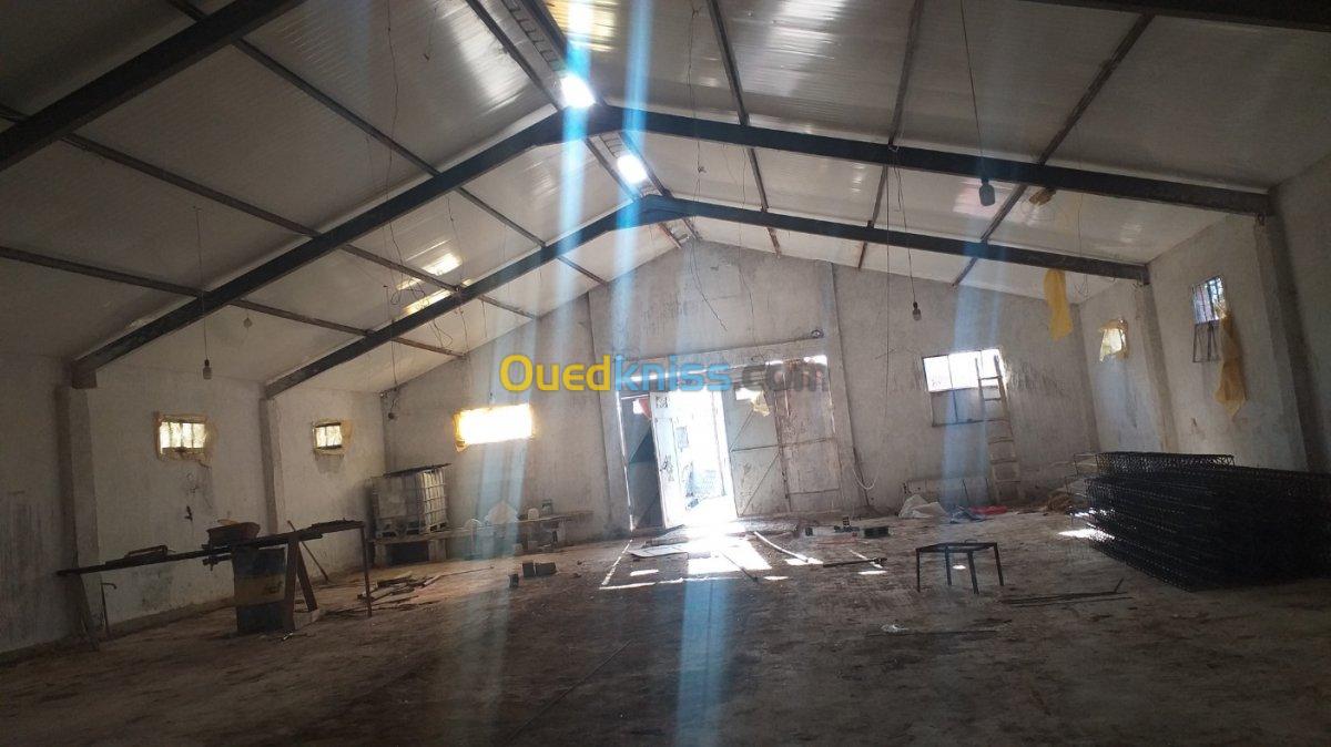 Location Hangar Setif Guidjel