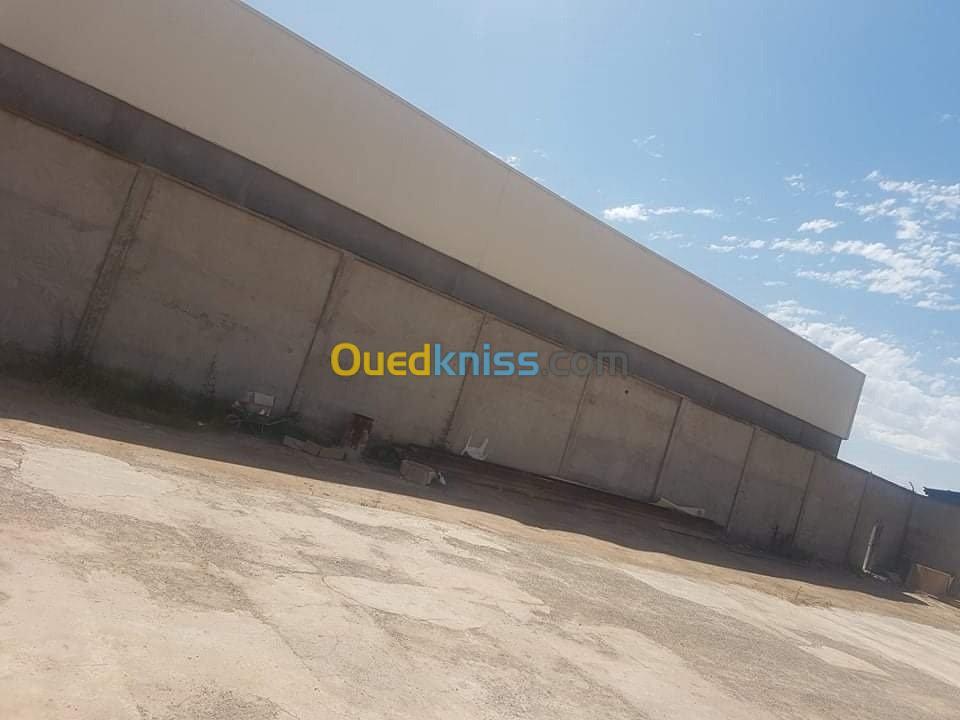 Location Hangar Oran El Kerma
