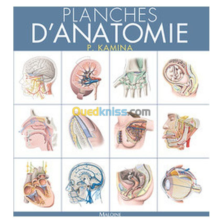 Planches d'anatomie. T3 La tête osseuse