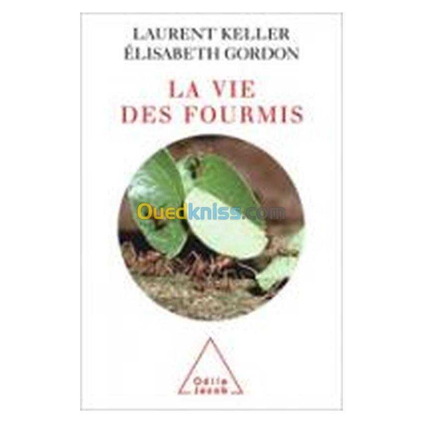 La vie des fourmis