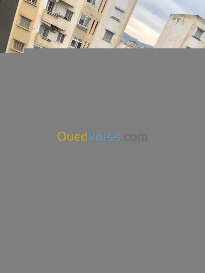 Vente Appartement F4 Alger Birtouta