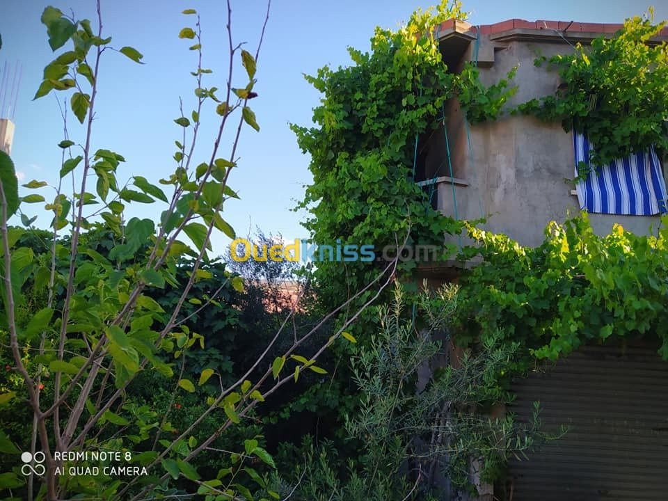 Vente Niveau De Villa F4 Mila Ain beida harriche