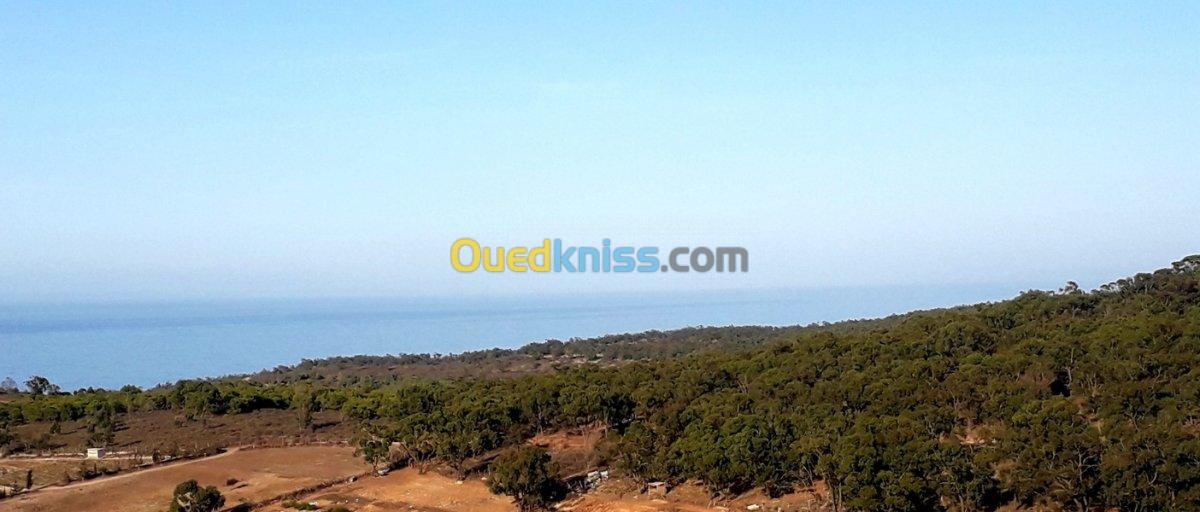 Vente Terrain Tlemcen Marsa ben mhidi