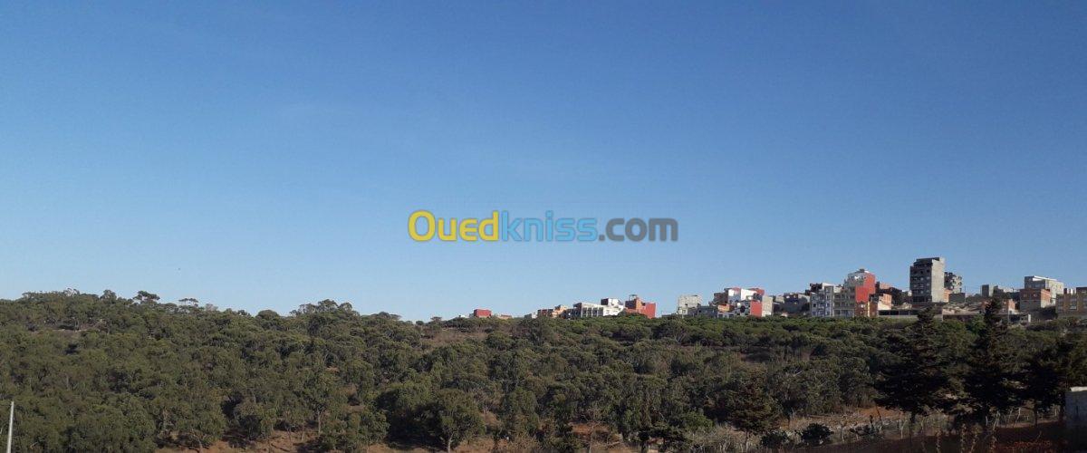 Vente Terrain Tlemcen Marsa ben mhidi