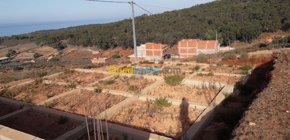 Vente Terrain Tlemcen Marsa ben mhidi