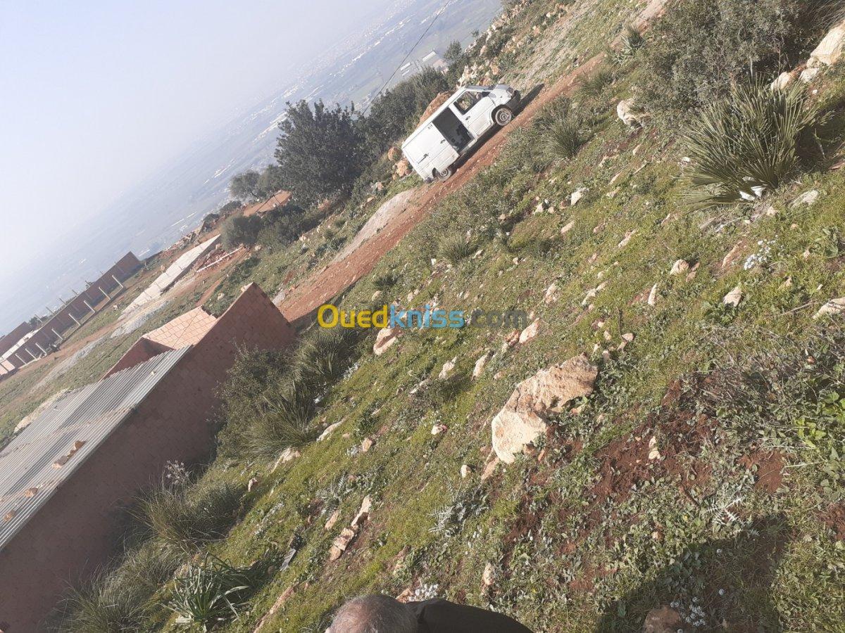 Vente Terrain Blida Meftah