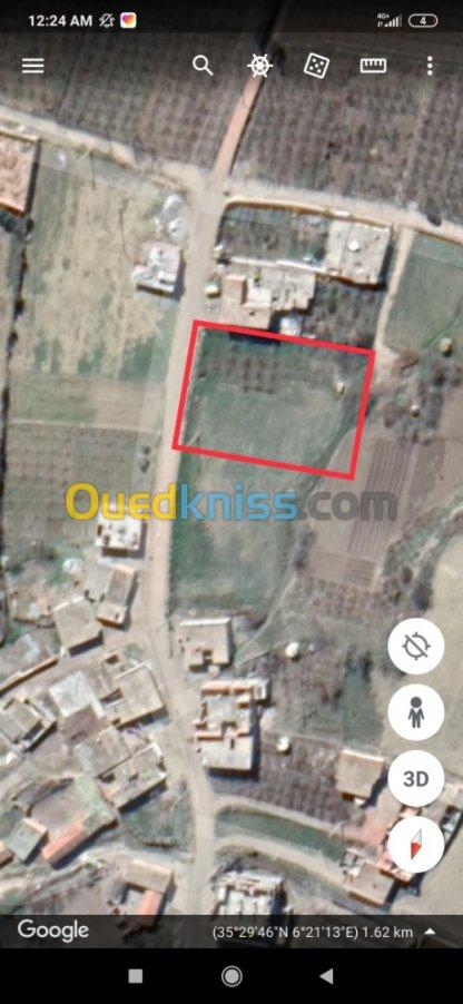 Vente Terrain Agricole Batna Ouyoun el assafir