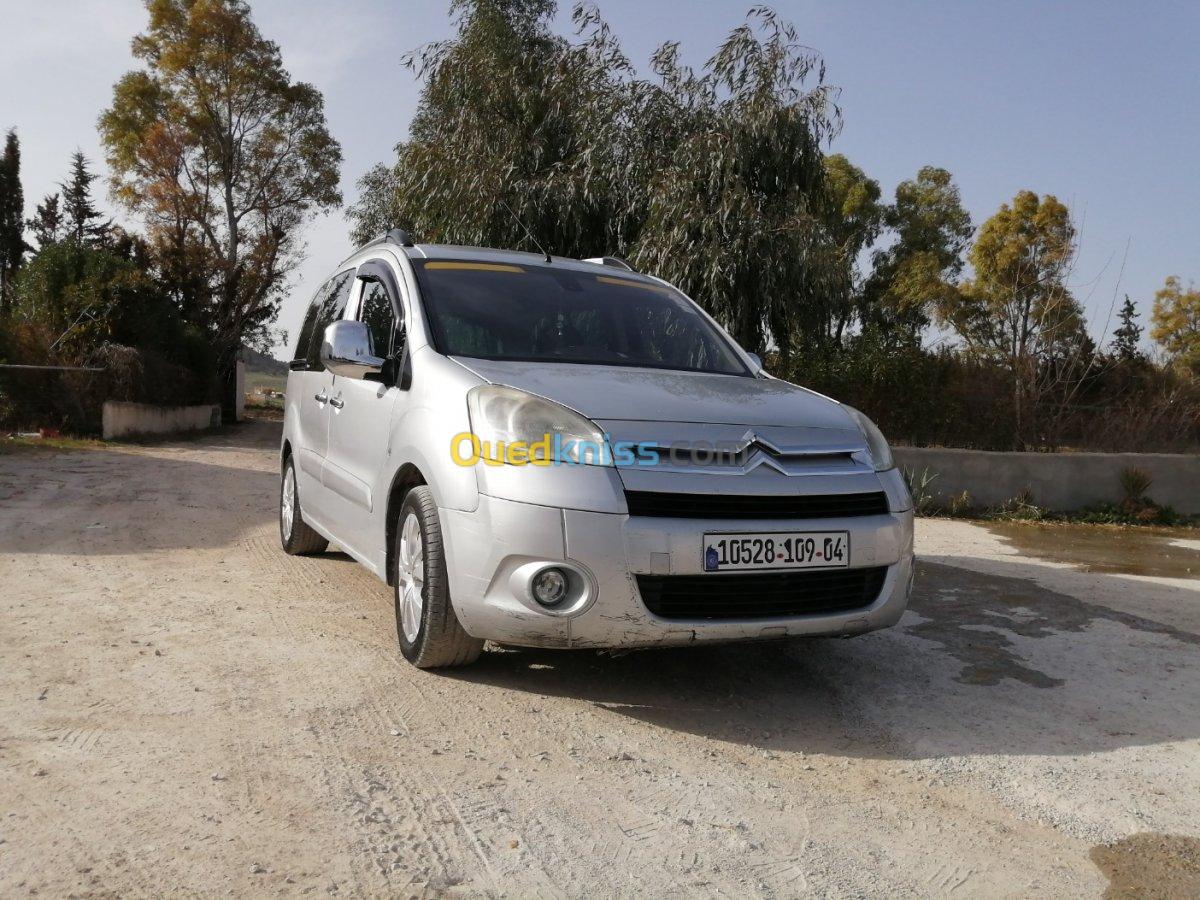 Citroen Berlingo 2009 