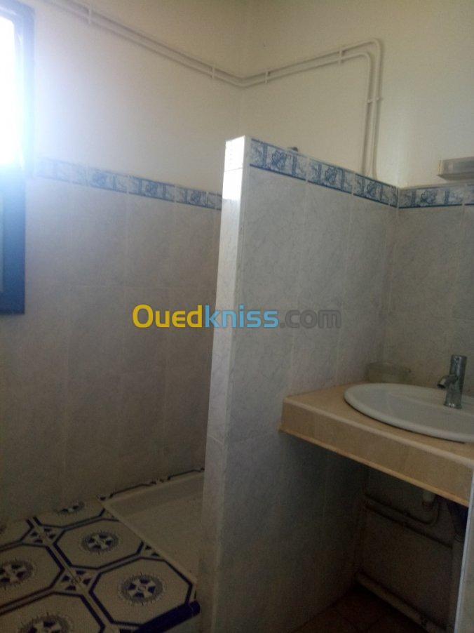 Location Appartement F3 Oran Oran