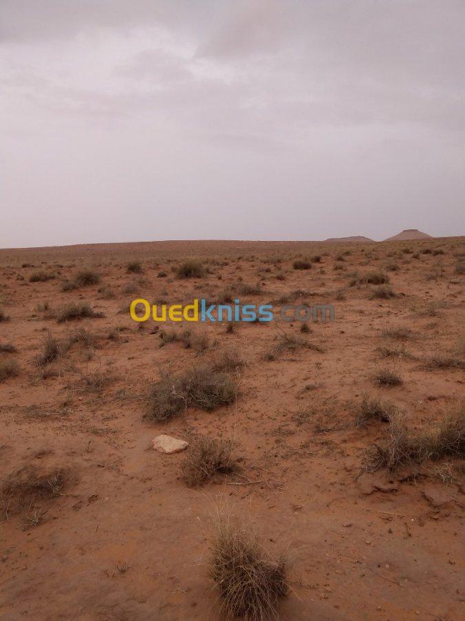 Vente Terrain El bayadh Bougtoub