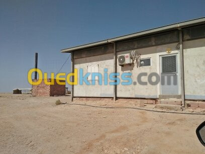 Vente Terrain Biskra Sidi okba