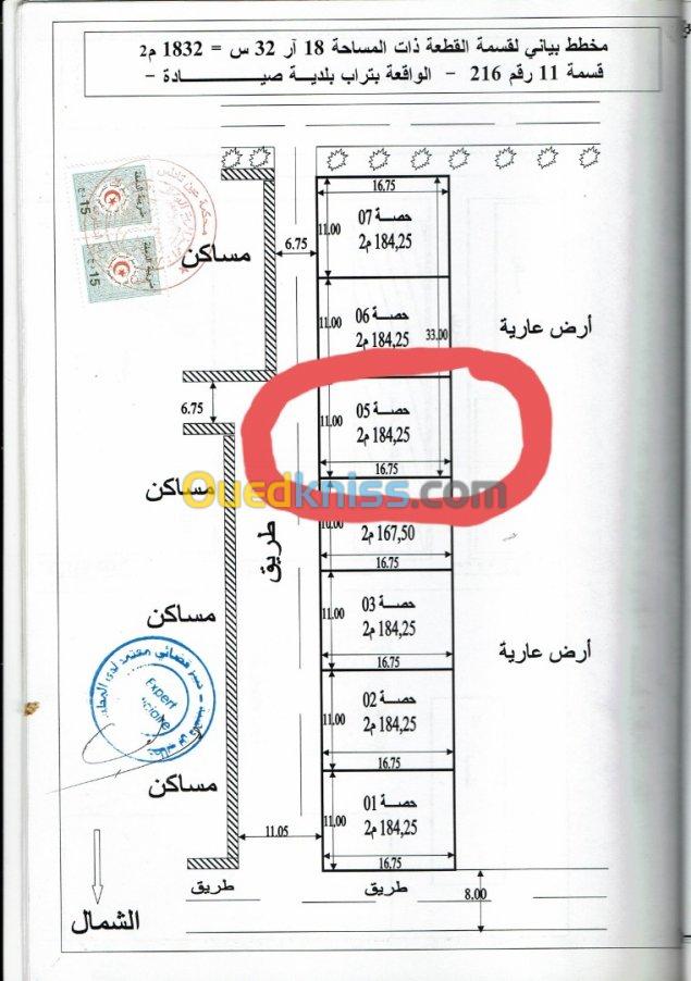 Vente Terrain Mostaganem Sayada