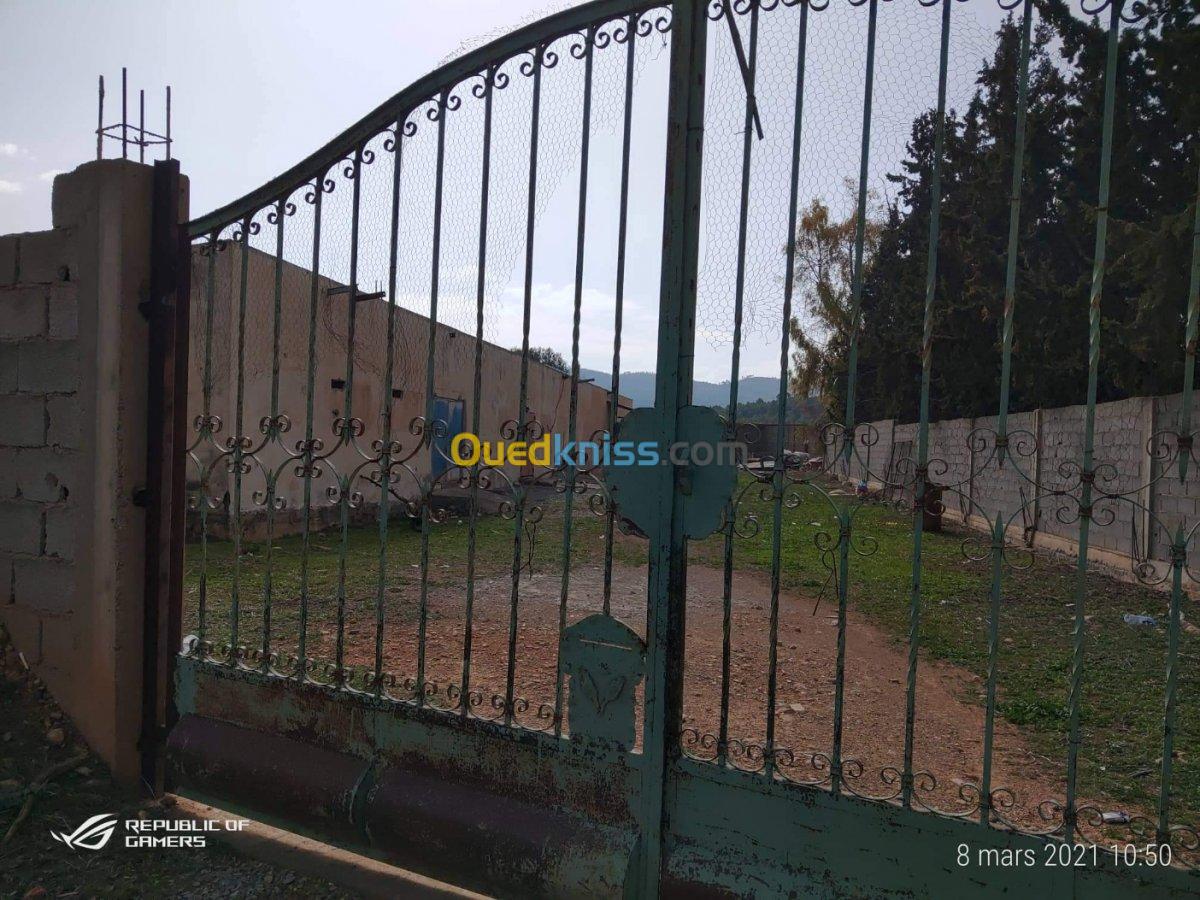 Location bien immobilier Batna Fesdis