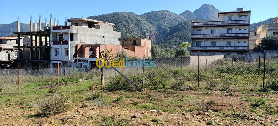 Vente Terrain Jijel Ziama mansouriah