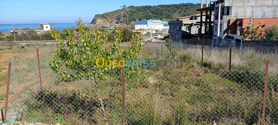 Vente Terrain Jijel Ziama mansouriah