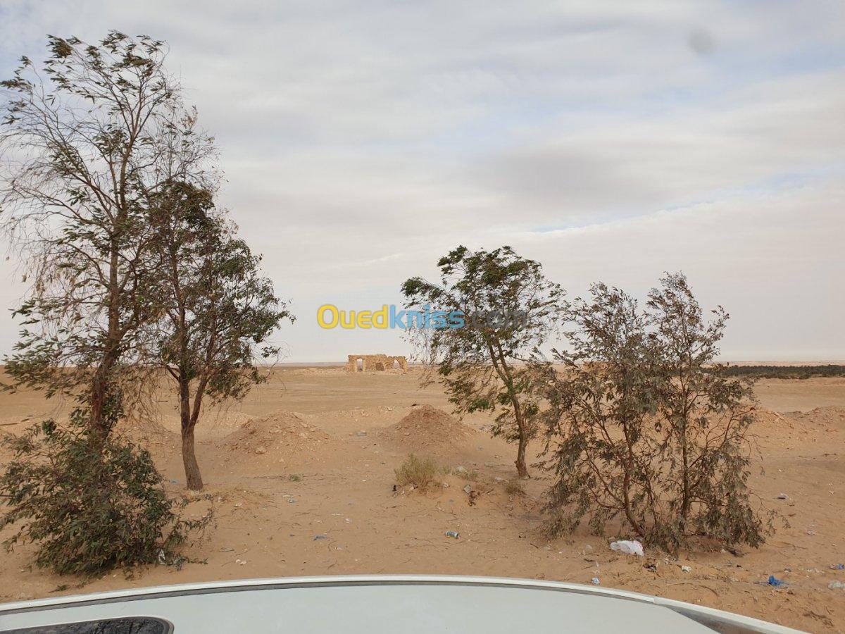 Vente Terrain Ouargla Sidi khouiled