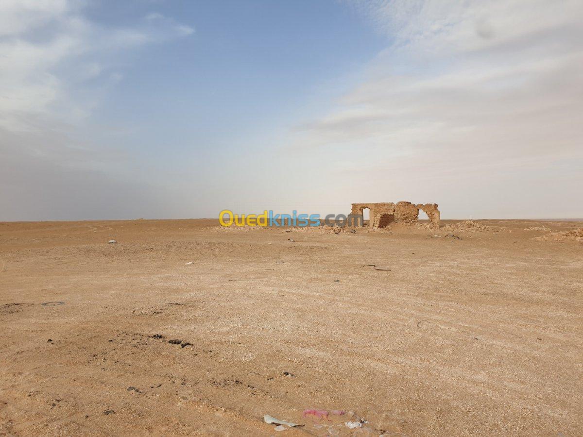 Vente Terrain Ouargla Sidi khouiled