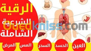 رقية شرعية شاملة والطب البديل بلاعشاب 