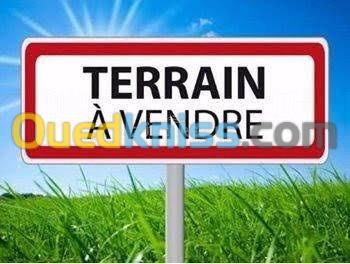 Vente Terrain Tlemcen Tlemcen