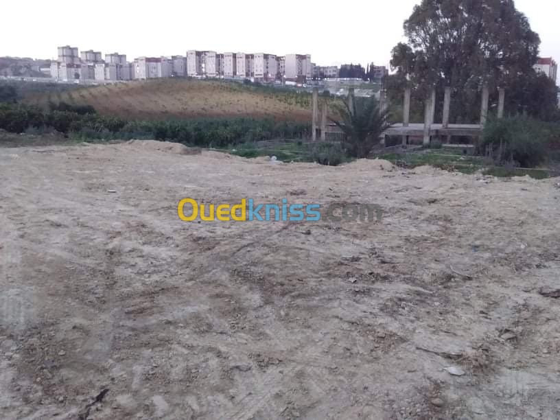 Vente Terrain Alger Khraissia