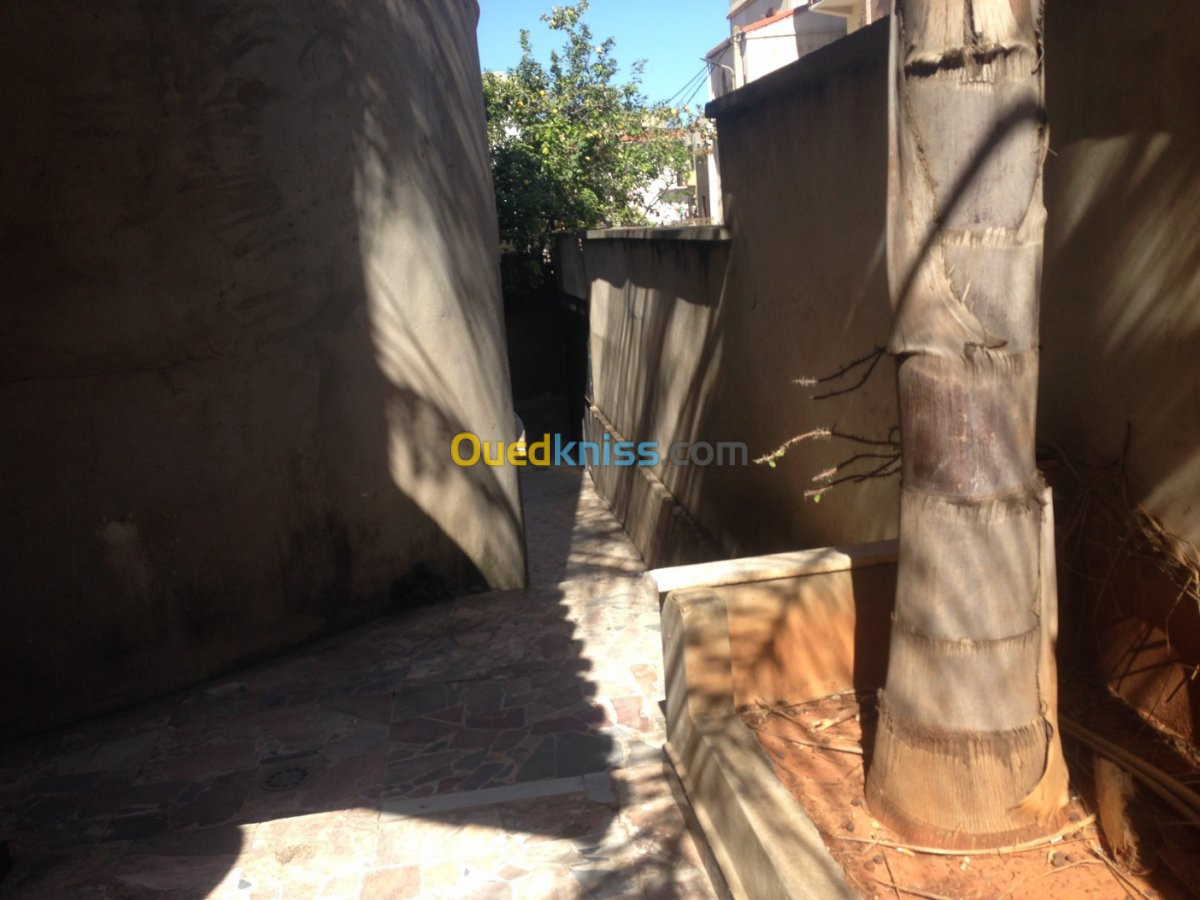 Vente Villa Alger Ouled fayet